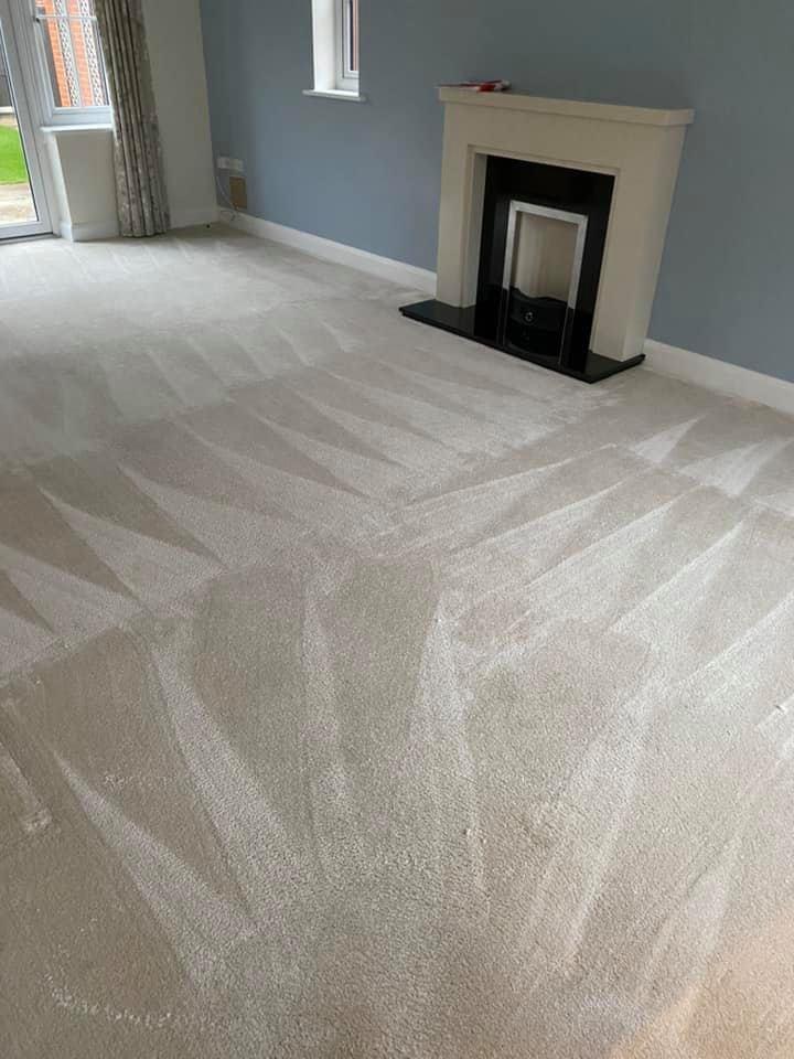 Completed Carpet Clean